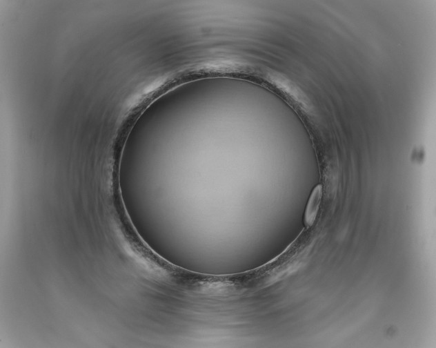X0000091590446200709051125
