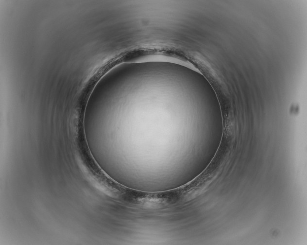 X0000091590448200709051125