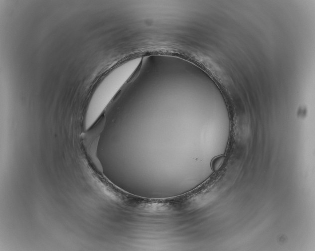 X0000091590449200709051125