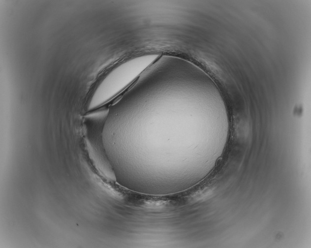 X0000091590450200709051125