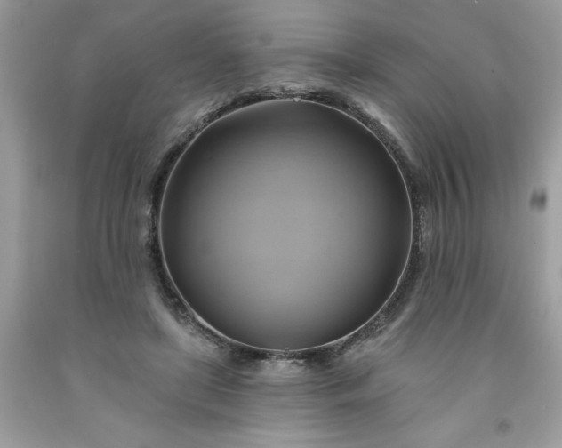 X0000091590451200709051125