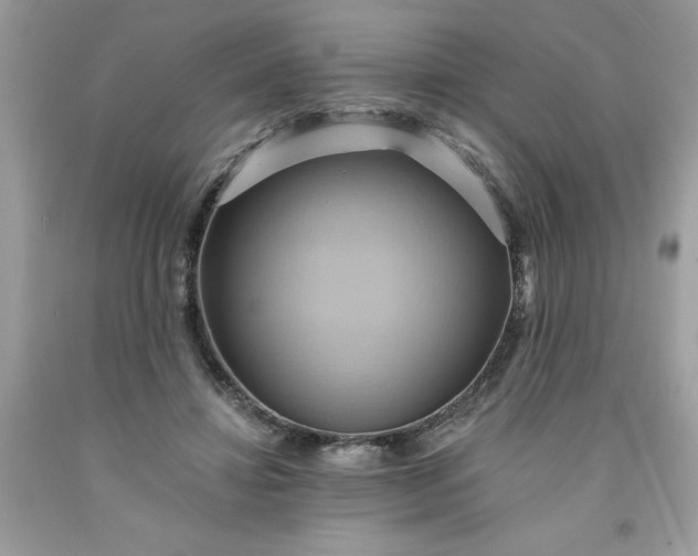 X0000091590452200709051125