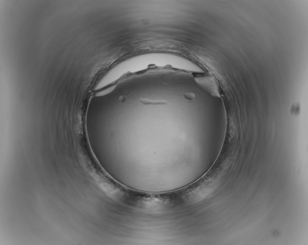 X0000091590453200709051125