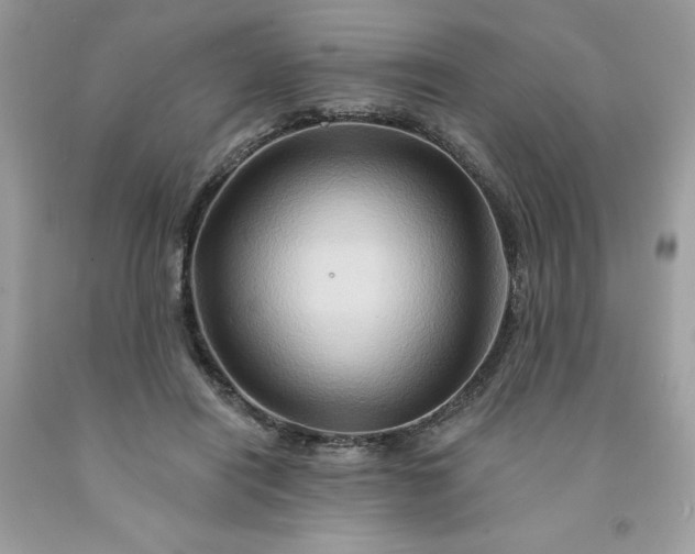 X0000091590454200709051125