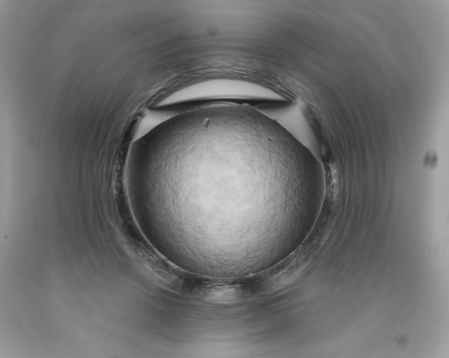 X0000091590456200709051125