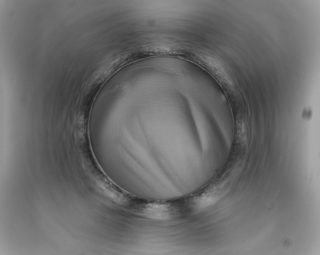 X0000091590457200709051125