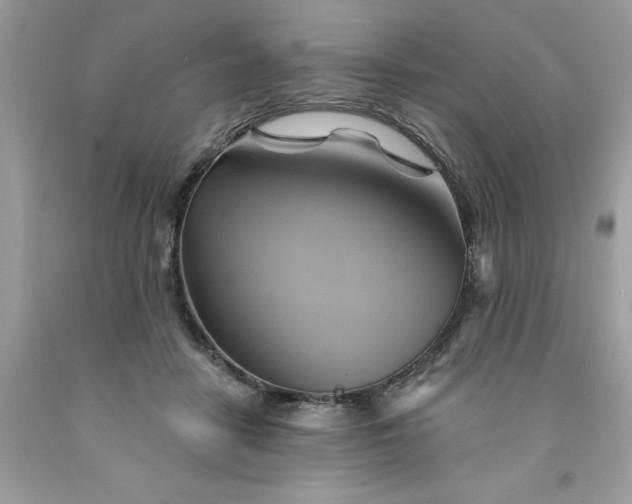 X0000091590458200709051125