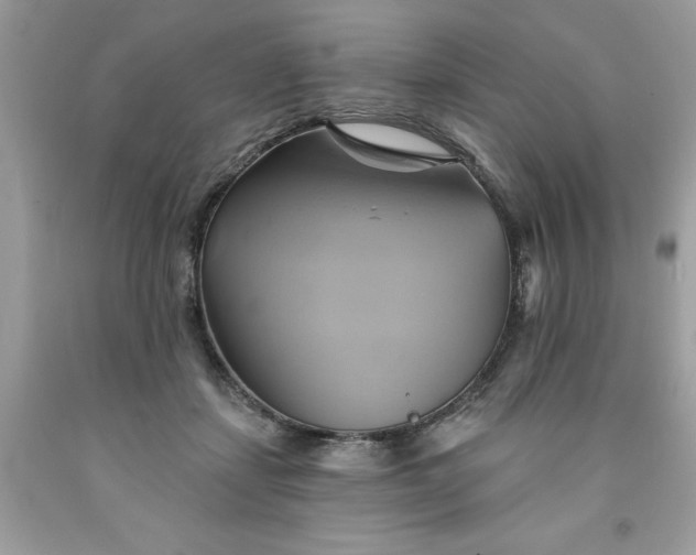 X0000091590459200709051125