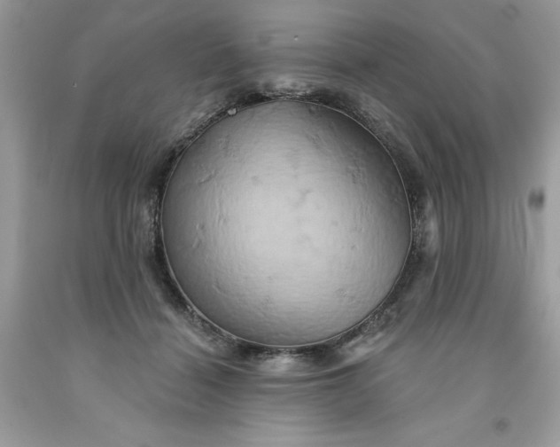 X0000091590460200709051125