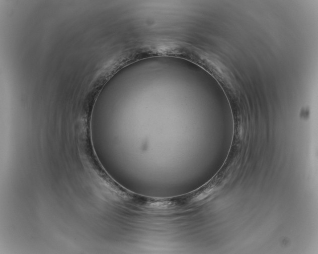 X0000091590461200709051125