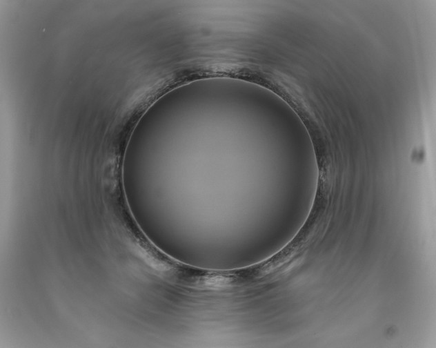 X0000091590462200709051125