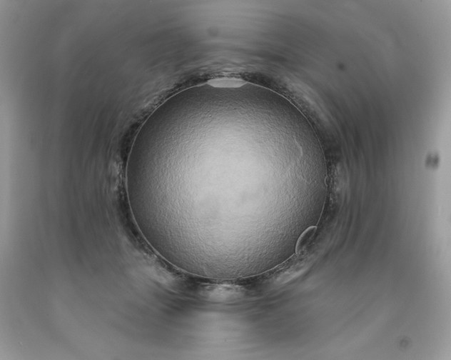 X0000091590463200709051125
