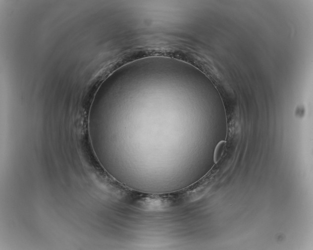 X0000091590464200709051125