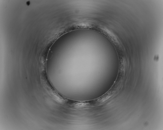 X0000091590465200709051125