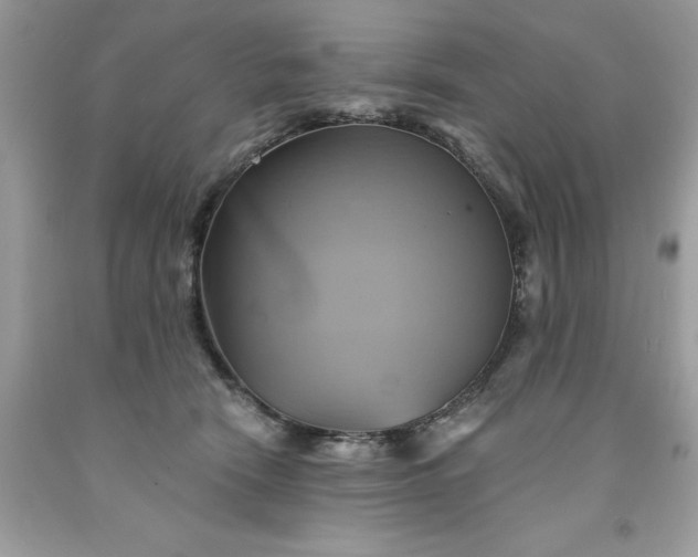 X0000091590466200709051125