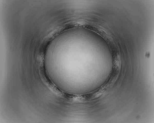 X0000091590468200709051125