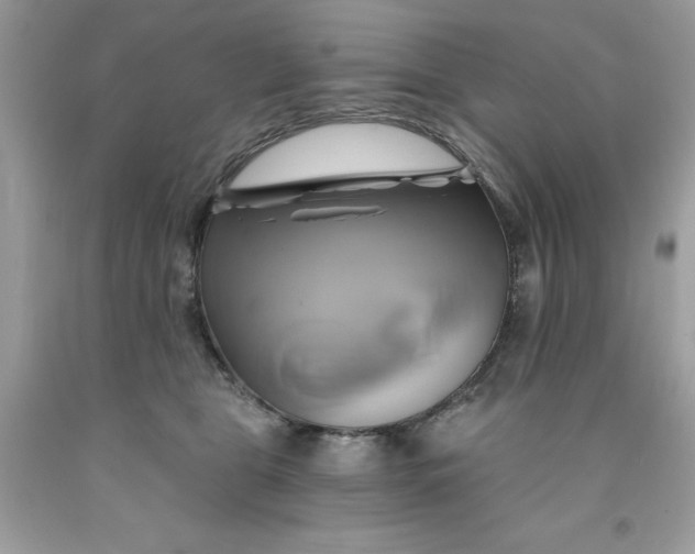 X0000091590469200709051125