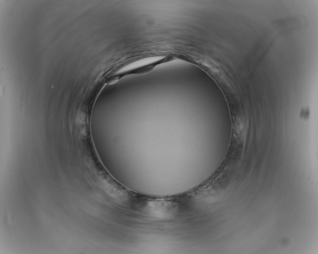 X0000091590470200709051125