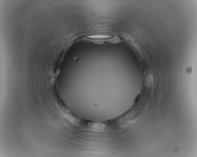 X0000091590471200709051125