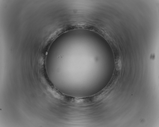 X0000091590472200709051125