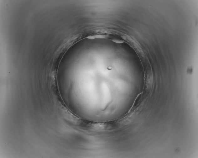 X0000091590473200709051125