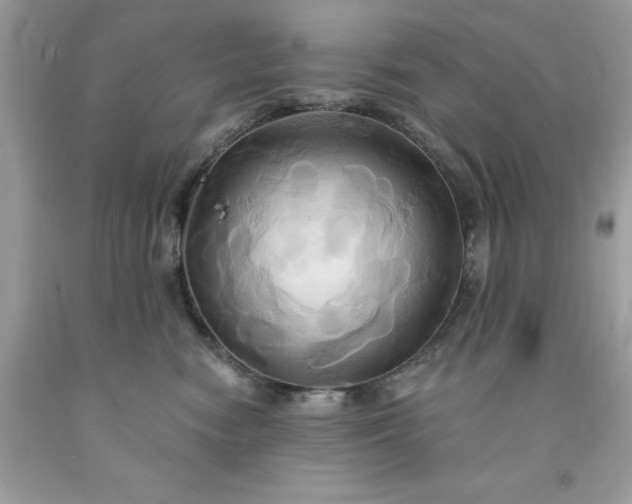 X0000091590474200709051125
