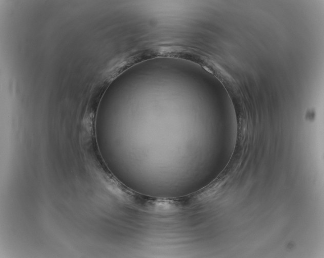 X0000091590475200709051125