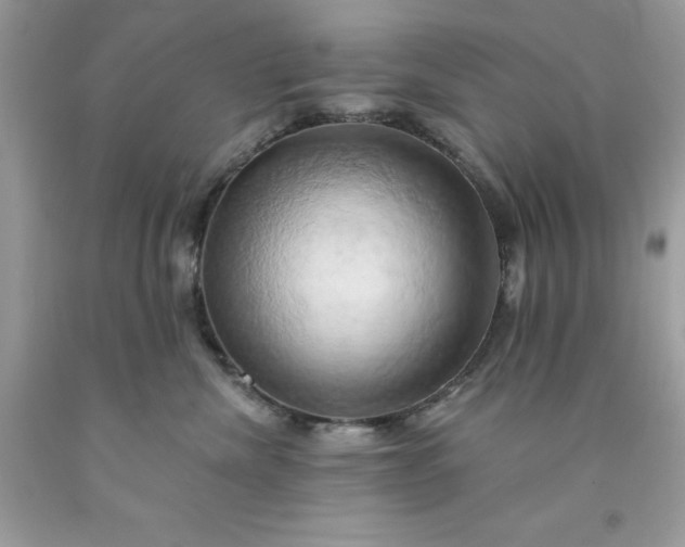 X0000091590476200709051125