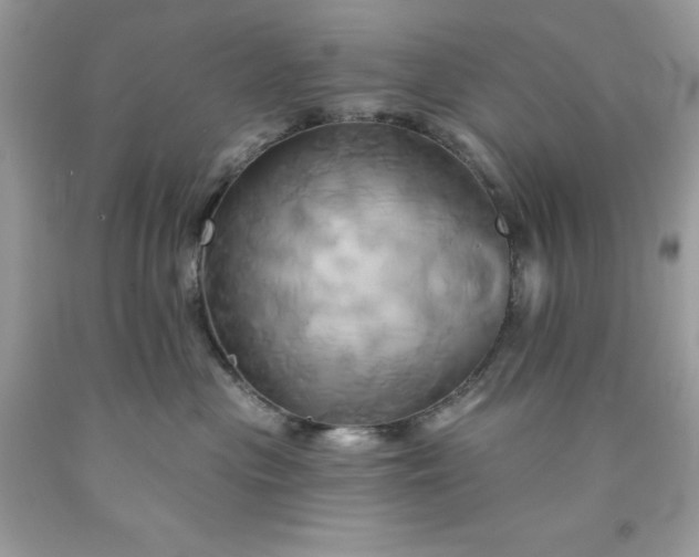 X0000091590477200709051125