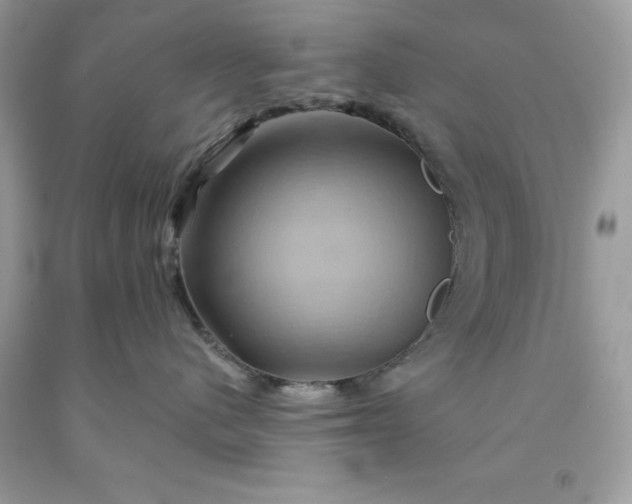 X0000091590480200709051125