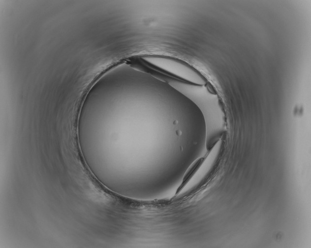 X0000091590481200709051124