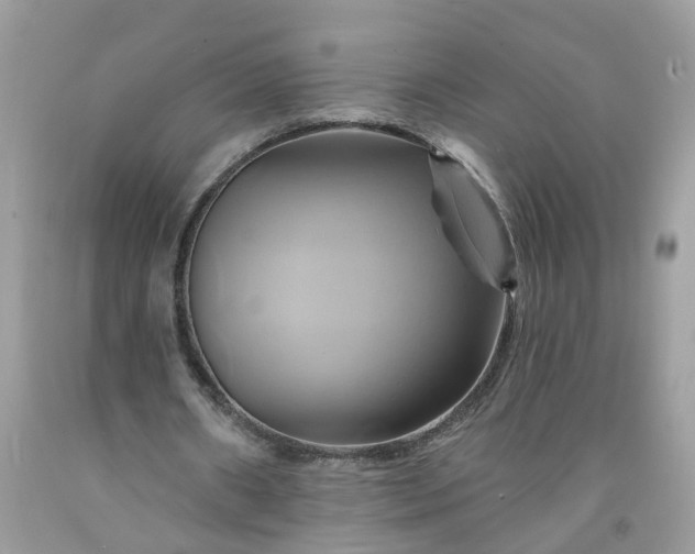 X0000091590482200709051124