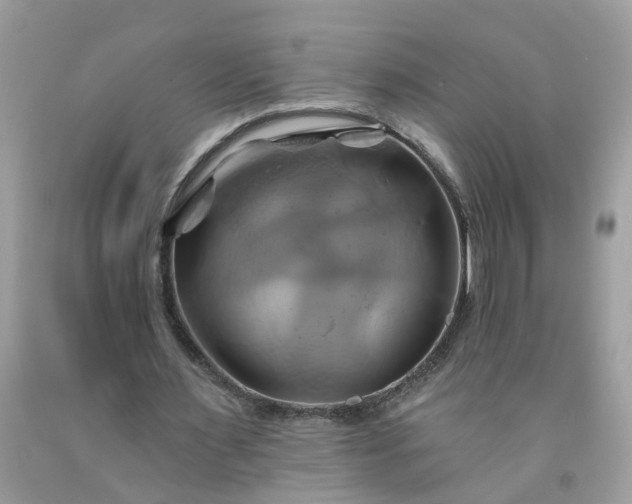X0000091590483200709051124