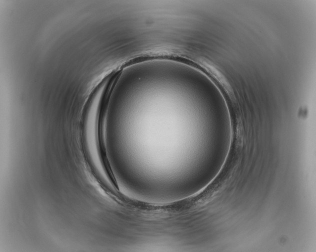 X0000091590485200709051124