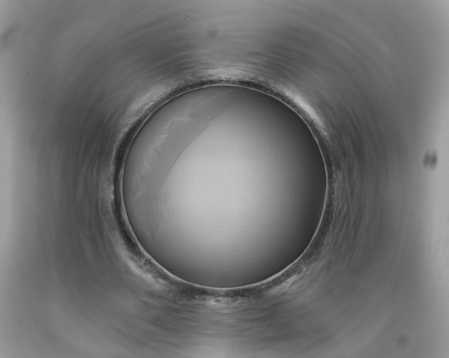X0000091590486200709051124