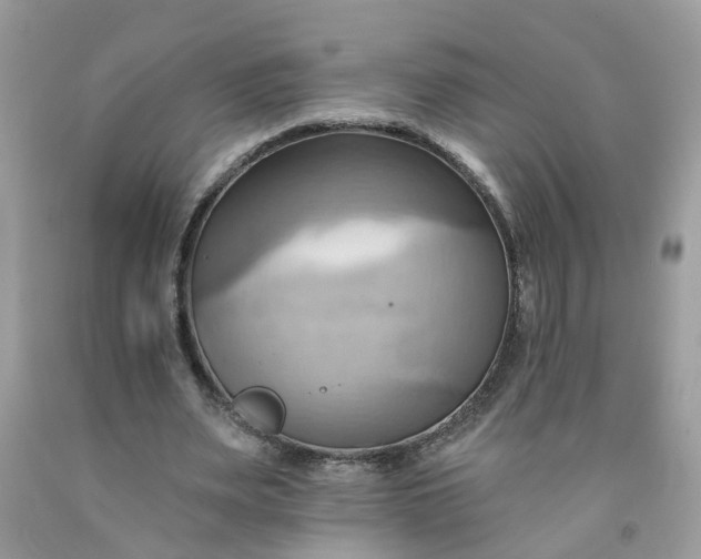 X0000091590487200709051124
