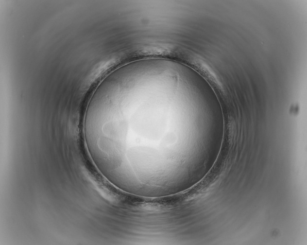X0000091590490200709051124