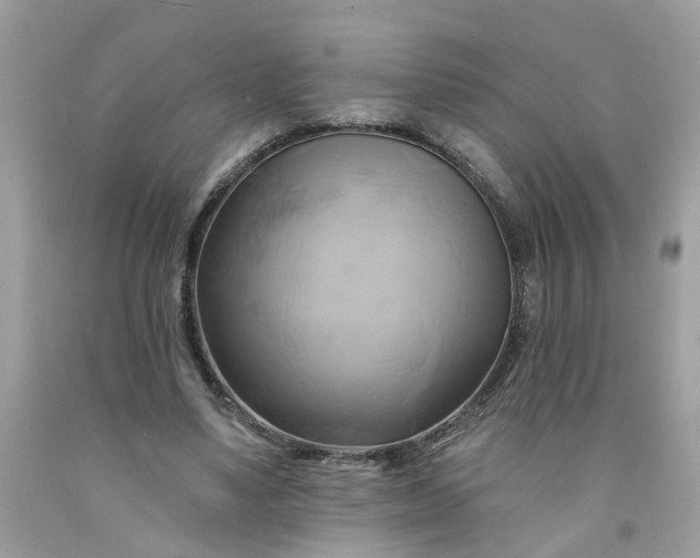 X0000091590491200709051124