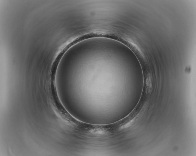 X0000091590492200709051124