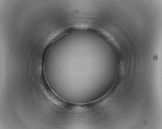 X0000091590494200709051124