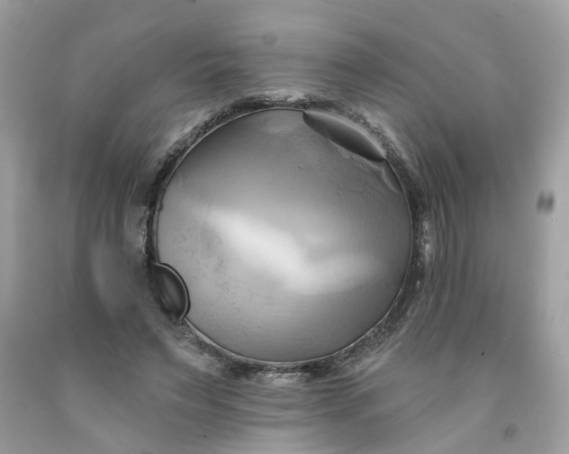 X0000091590495200709051124