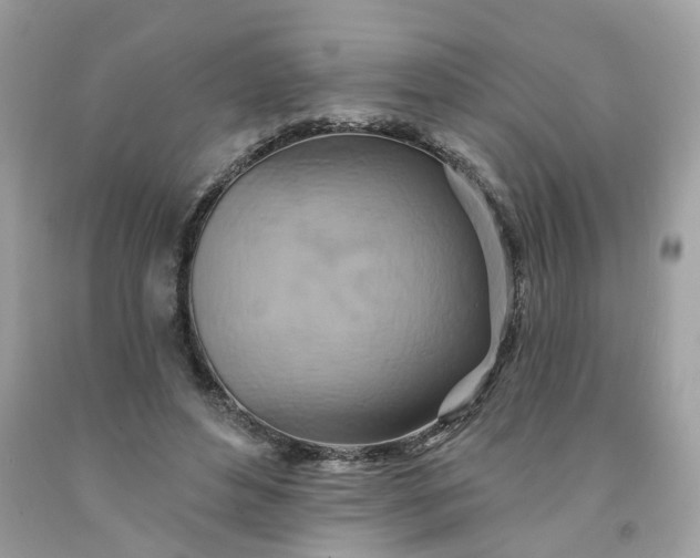X0000091590496200709051124