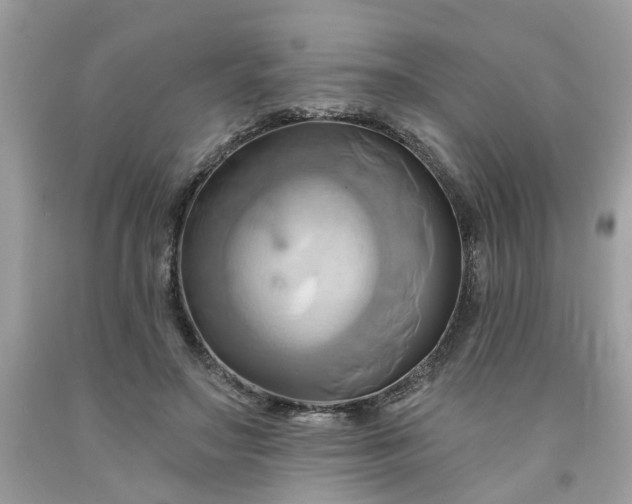X0000091590499200709051124
