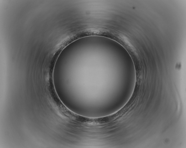 X0000091590500200709051124