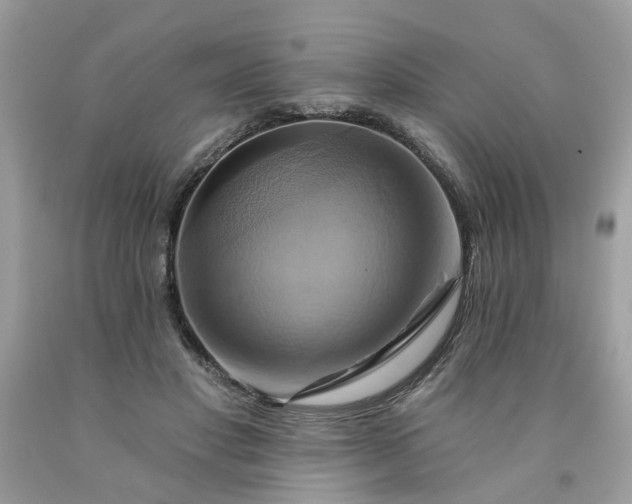 X0000091590501200709051124