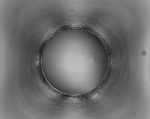 X0000091590502200709051124