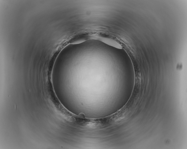X0000091590504200709051124