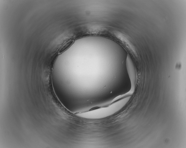 X0000091590505200709051124