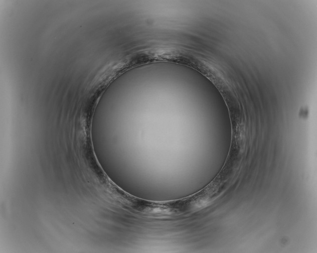 X0000091590506200709051124