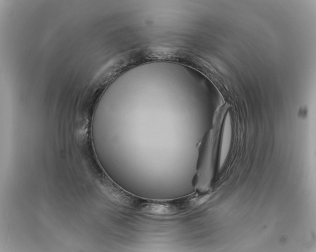 X0000091590507200709051124